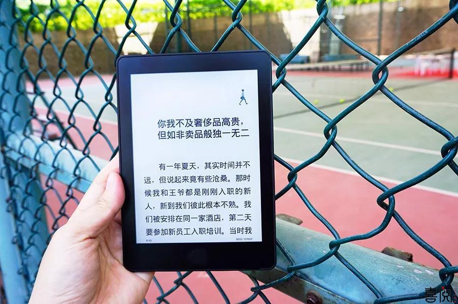 六 · 一献礼 启明星送给小天使们知识的海洋