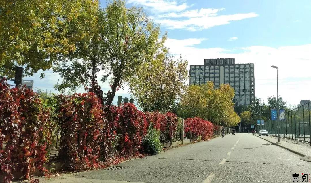 辩论赛第二周 | 南开、民航等校精彩瞬间 喜阅全力赞助全国高校大学生职业素养辩论赛